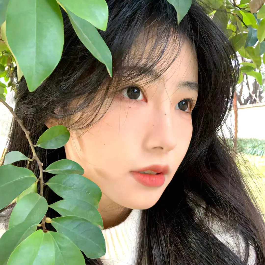 百粤风云